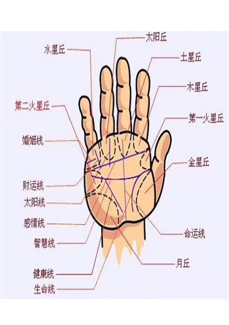 手面相